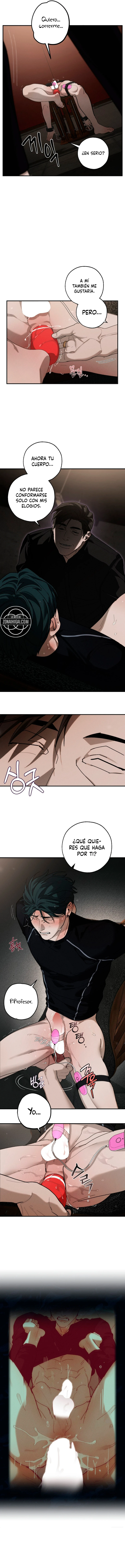 Combustion incompleta Capitulo 30 página 4