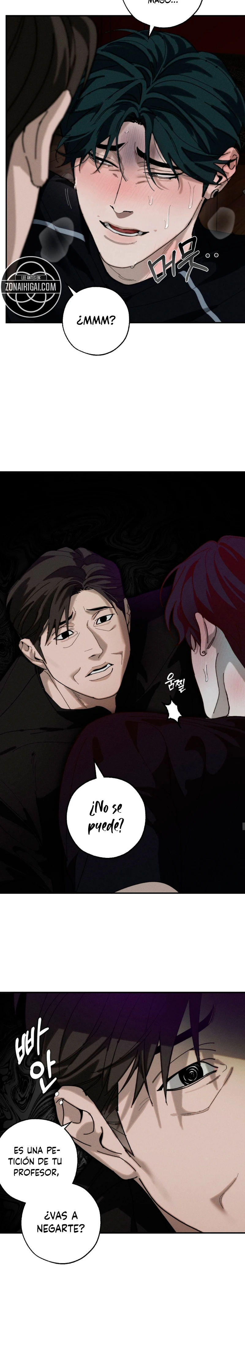 Combustion incompleta Capitulo 30 página 9