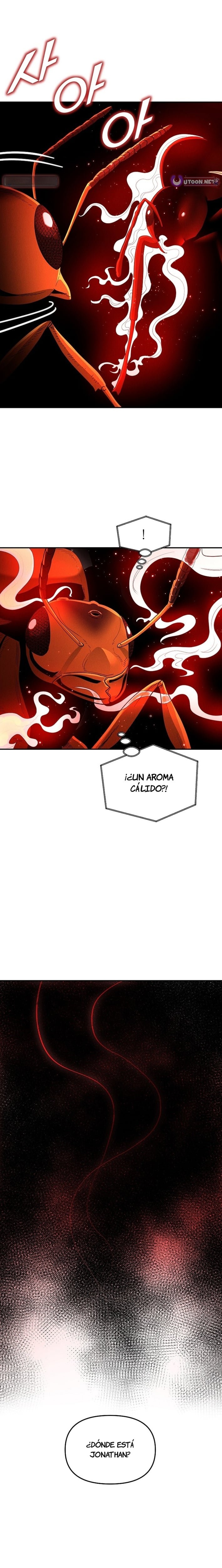 El imperio de las hormigas Capitulo 14 página 14