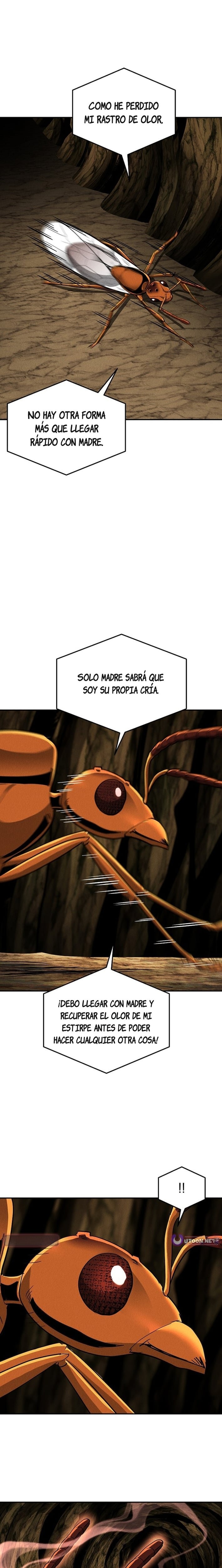 El imperio de las hormigas Capitulo 14 página 3