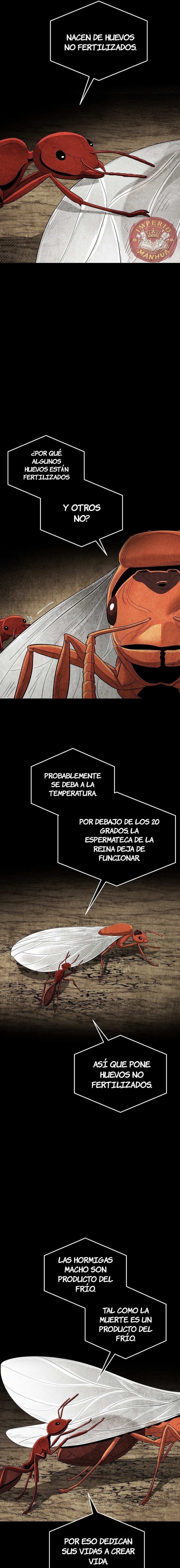 El imperio de las hormigas Capitulo 15 página 13