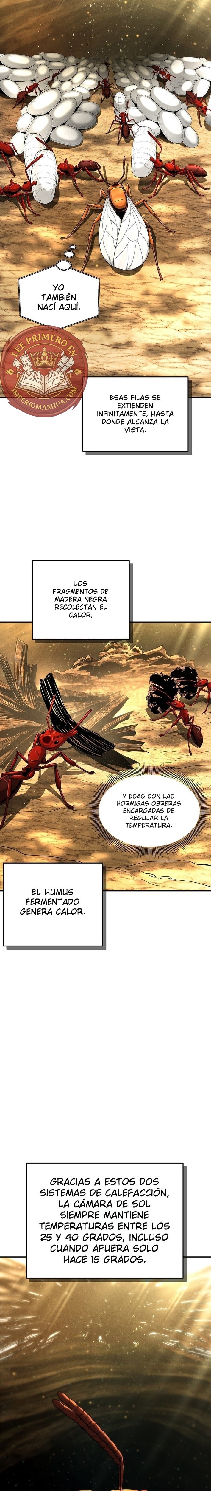 El imperio de las hormigas Capitulo 17 página 20