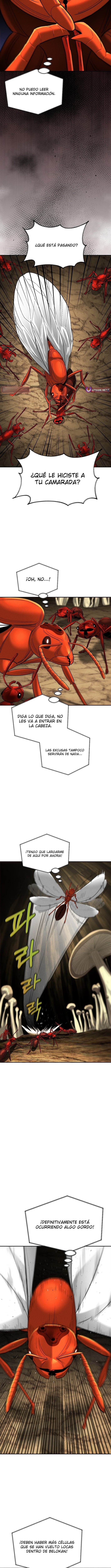 El imperio de las hormigas Capitulo 18 página 12