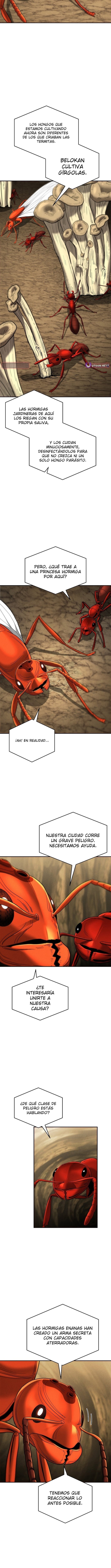 El imperio de las hormigas Capitulo 18 página 7