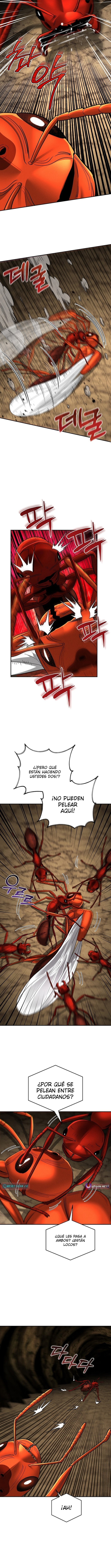 El imperio de las hormigas Capitulo 18 página 9