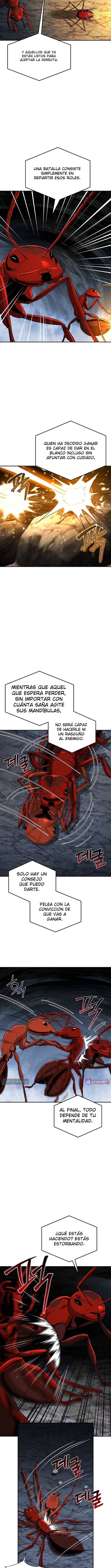 El imperio de las hormigas Capitulo 19 página 3