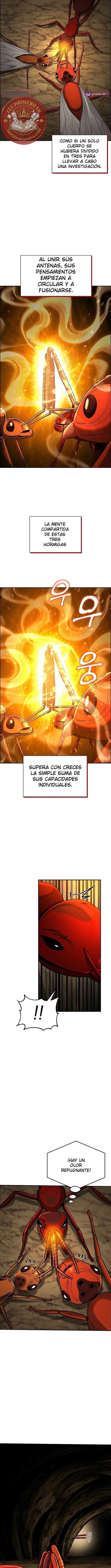 El imperio de las hormigas Capitulo 20 página 10