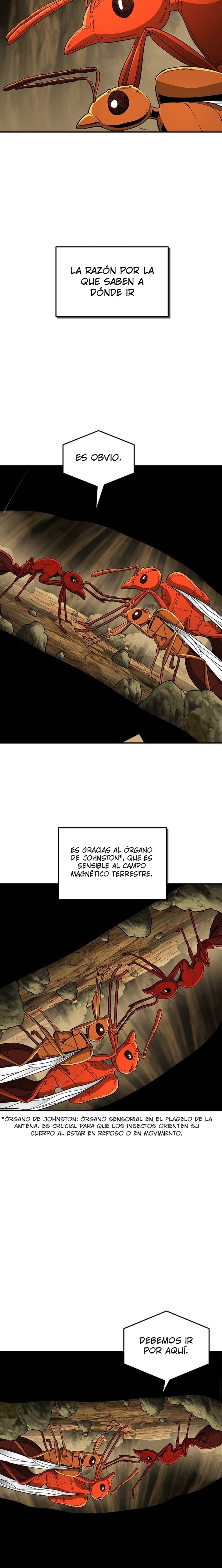 El imperio de las hormigas Capitulo 23 página 2
