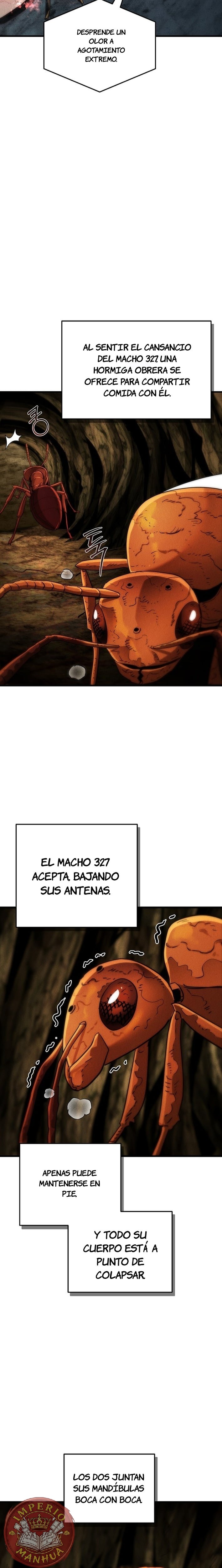 El imperio de las hormigas Capitulo 4 página 26