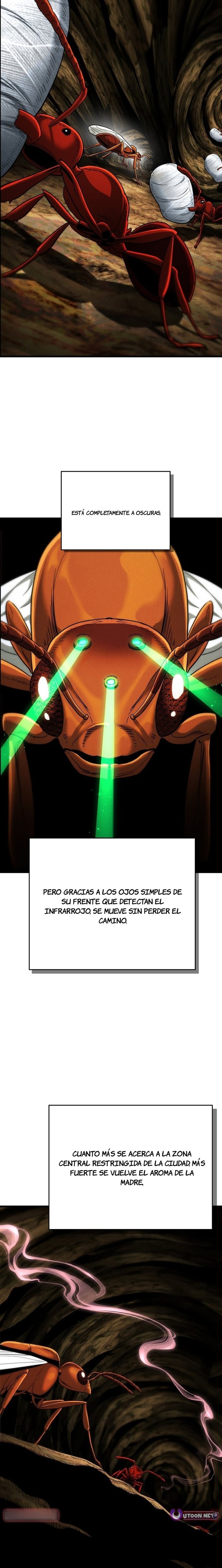 El imperio de las hormigas Capitulo 5 página 8