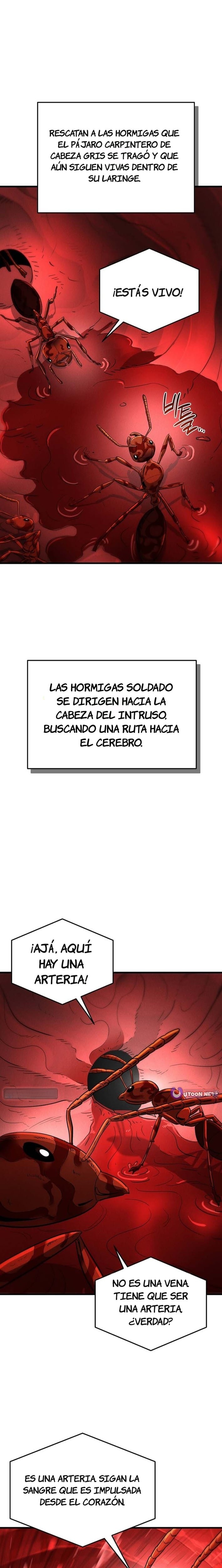 El imperio de las hormigas Capitulo 9 página 16