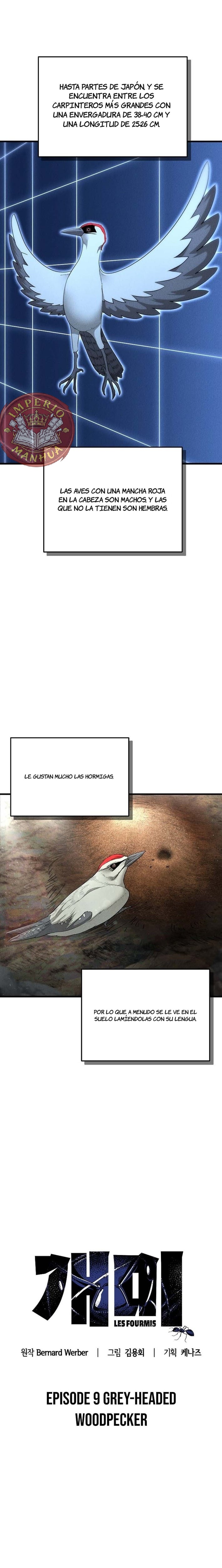 El imperio de las hormigas Capitulo 9 página 2