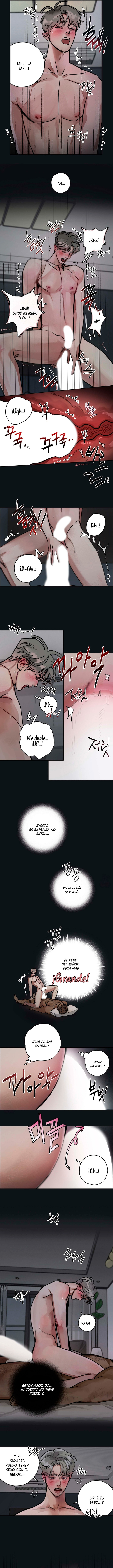 Sueño Feliz Capitulo 2 página 3