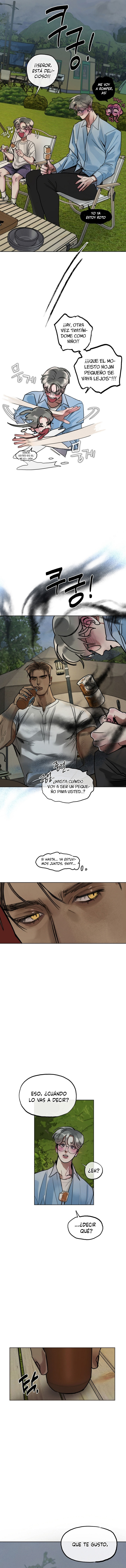 Sueño Feliz Capitulo 8 página 12