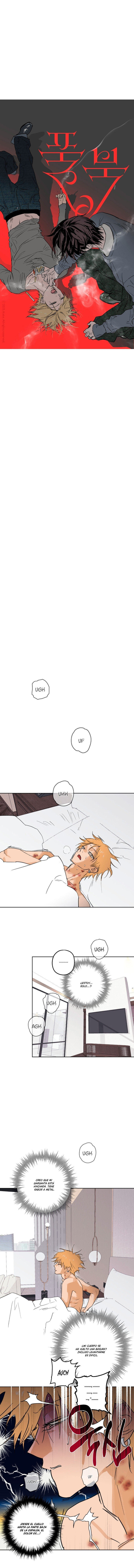 Libro completo Capitulo 13 página 3