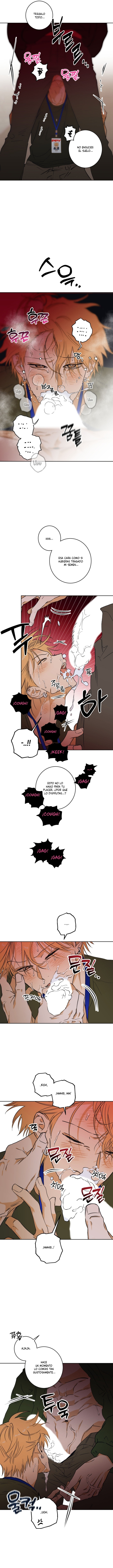 Libro completo Capitulo 3 página 10