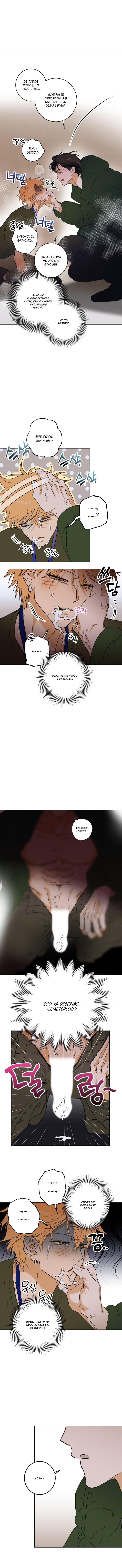 Libro completo Capitulo 3 página 11