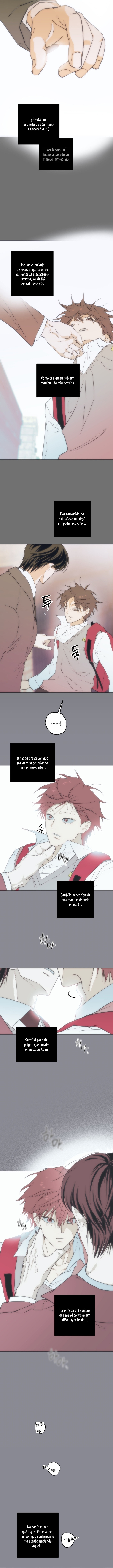 Libro completo Capitulo 4 página 5