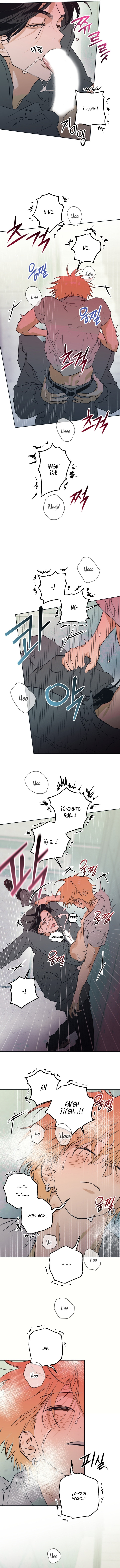 Libro completo Capitulo 5 página 11