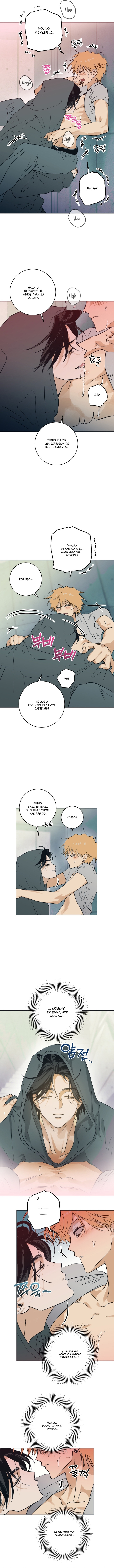 Libro completo Capitulo 5 página 5