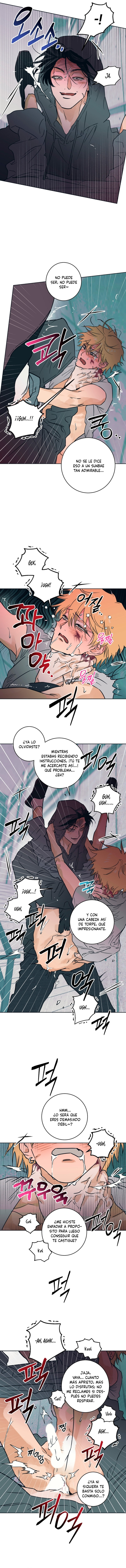 Libro completo Capitulo 6 página 5