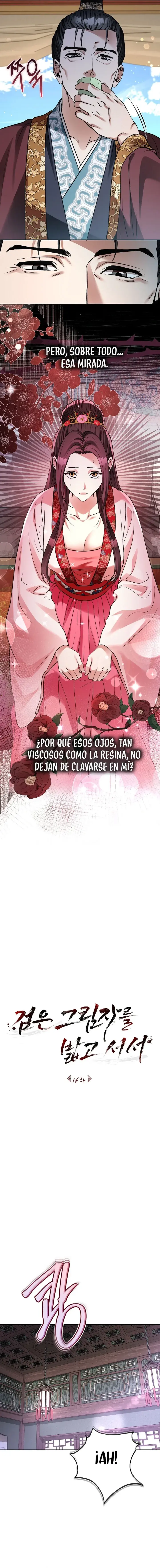 Sobre la Sombra Negra Capitulo 16 página 2