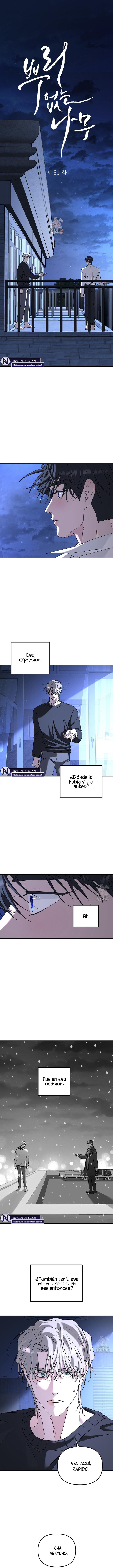 Arbol sin raices Capitulo 81 página 2