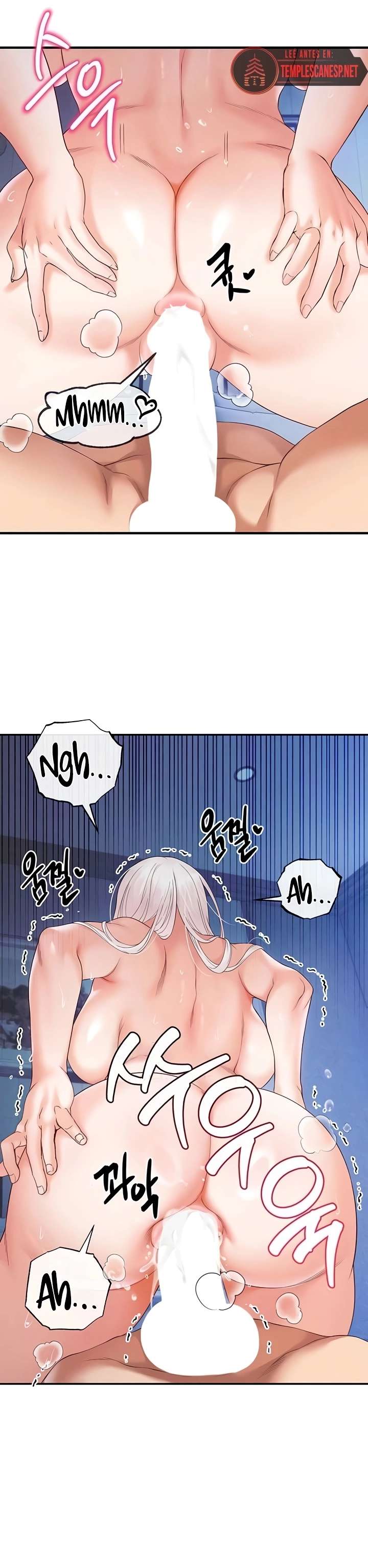 Venganza con mi harem Capitulo 26 página 12