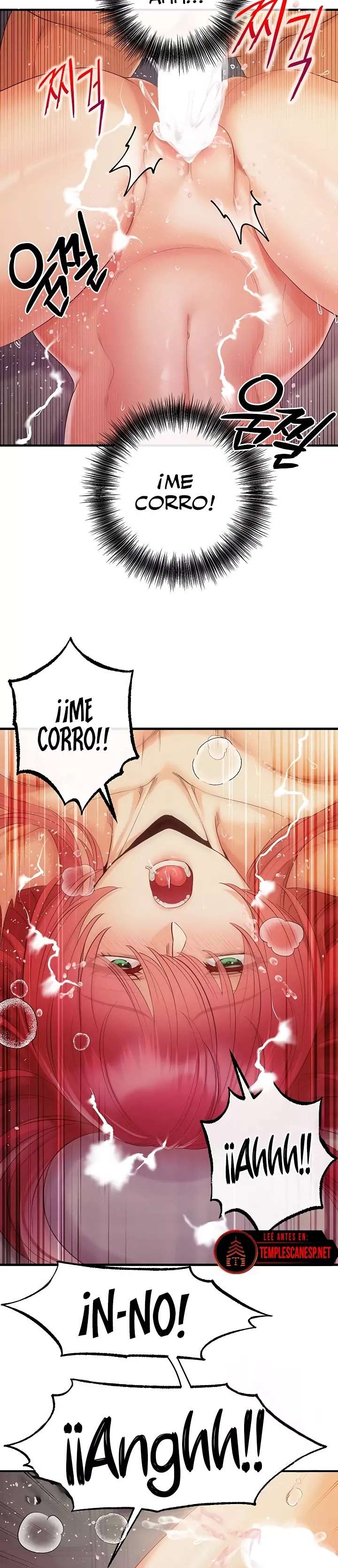 Venganza con mi harem Capitulo 32 página 17