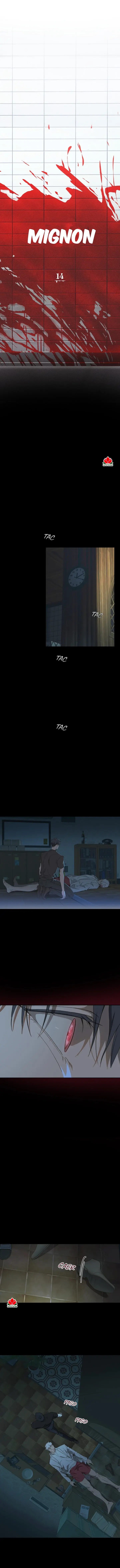 mignon Capitulo 14 página 2