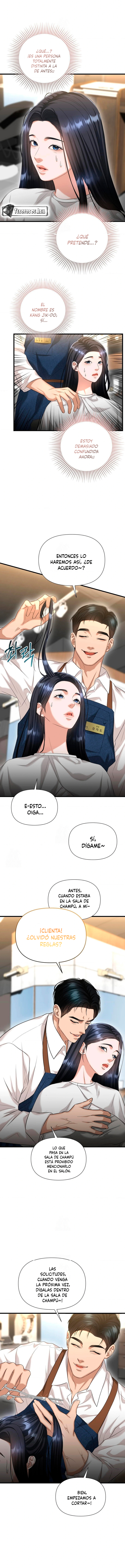 Tratamiento Capilar Capitulo 2 página 12