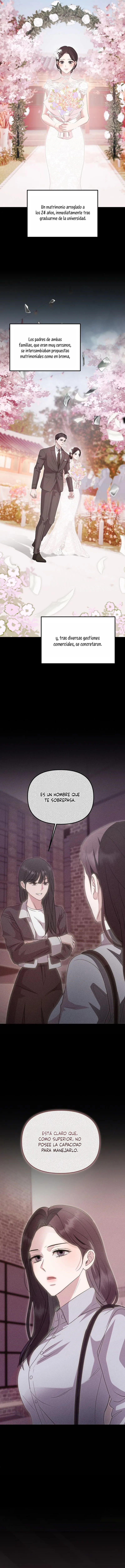Amor a destiempo tras el matrimonio Capitulo 1 página 8