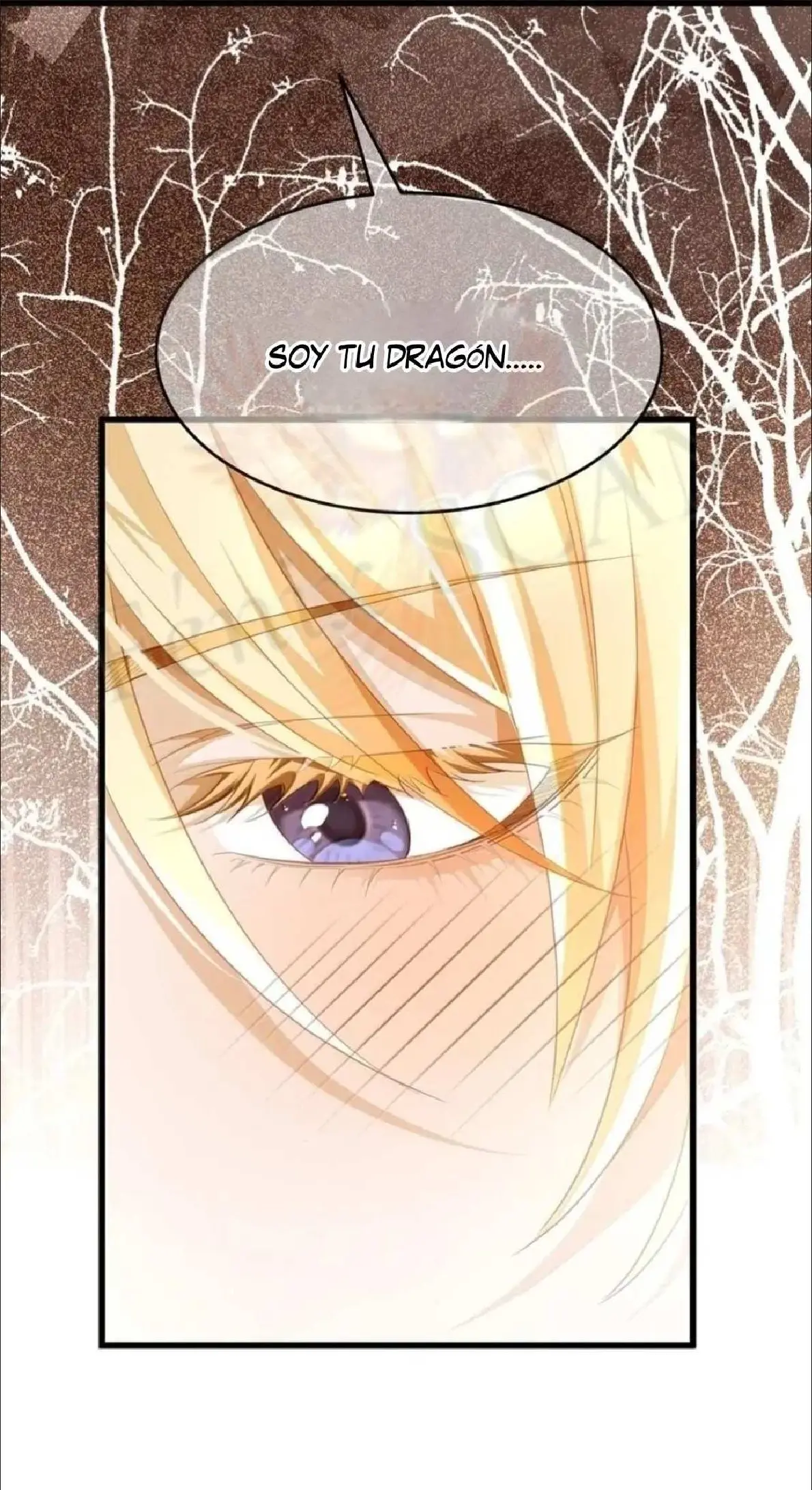 Nací Como El Pequeño Dragón Malvado - FxS Capitulo 69 página 11