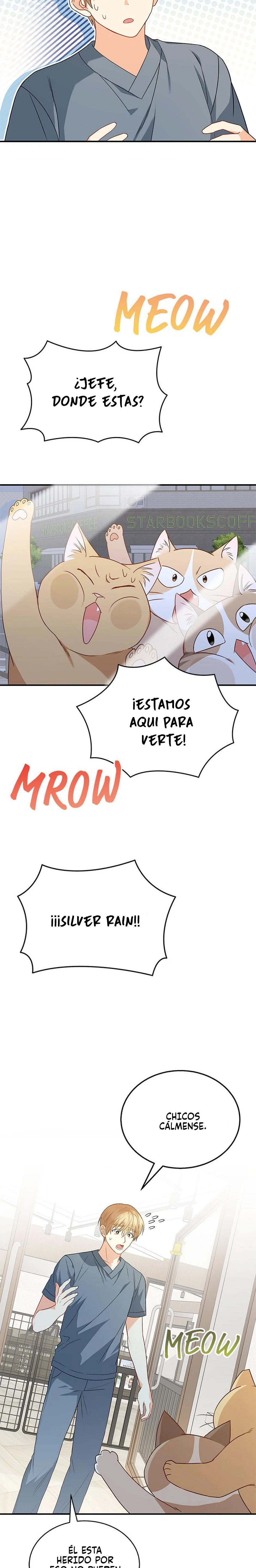 Veterinario Hola Capitulo 14 página 14