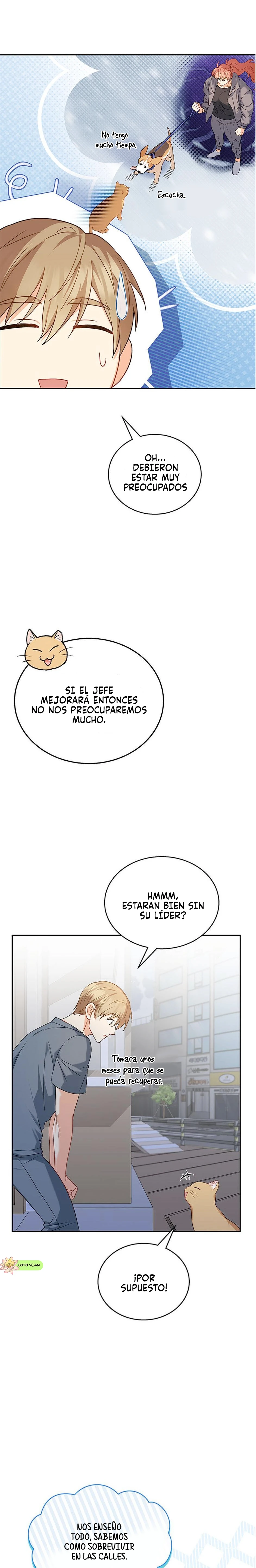 Veterinario Hola Capitulo 14 página 17