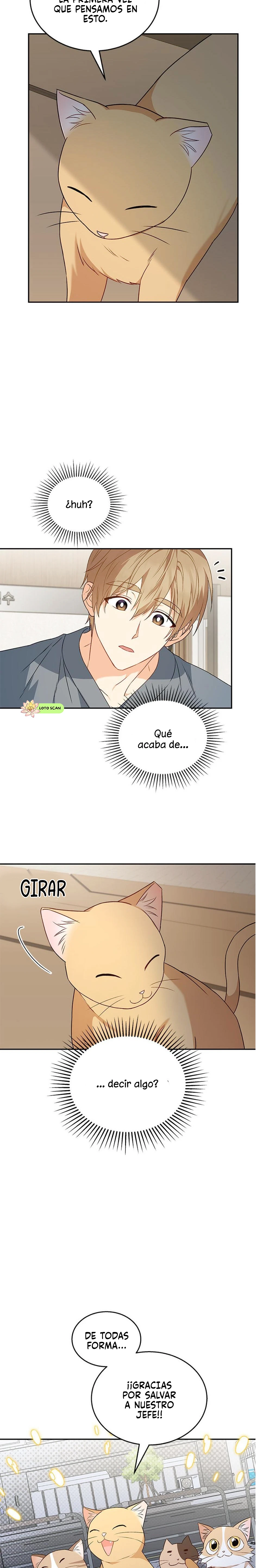 Veterinario Hola Capitulo 14 página 19