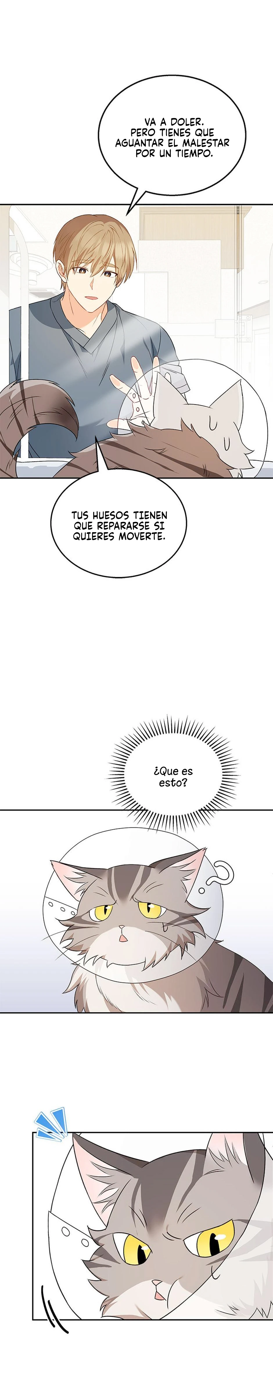 Veterinario Hola Capitulo 14 página 24