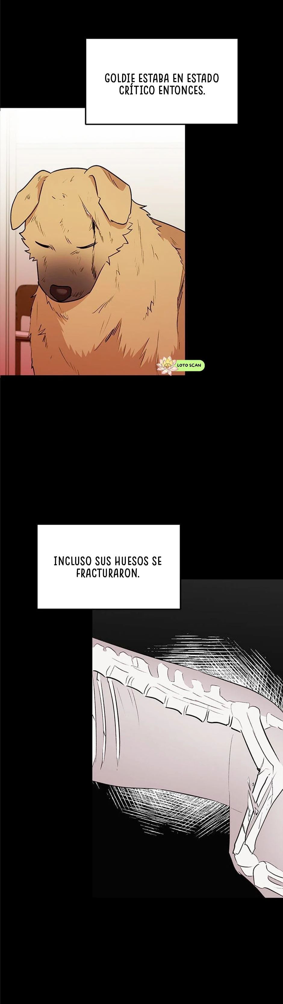 Veterinario Hola Capitulo 17 página 15