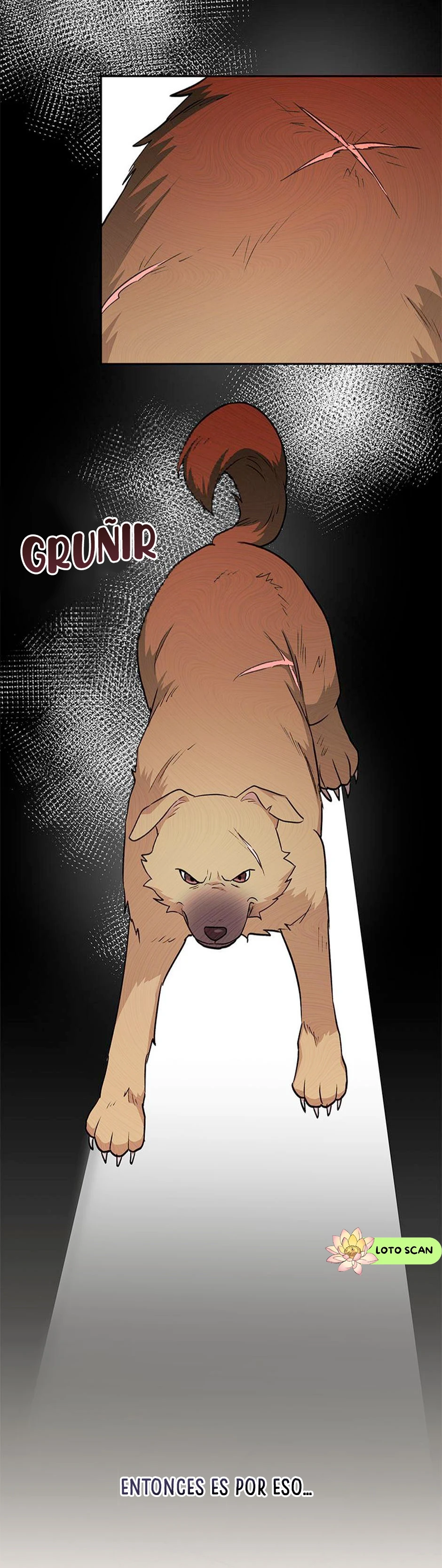 Veterinario Hola Capitulo 17 página 8