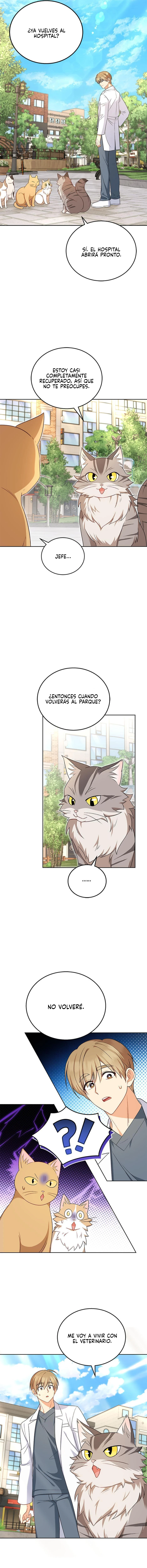 Veterinario Hola Capitulo 21 página 12