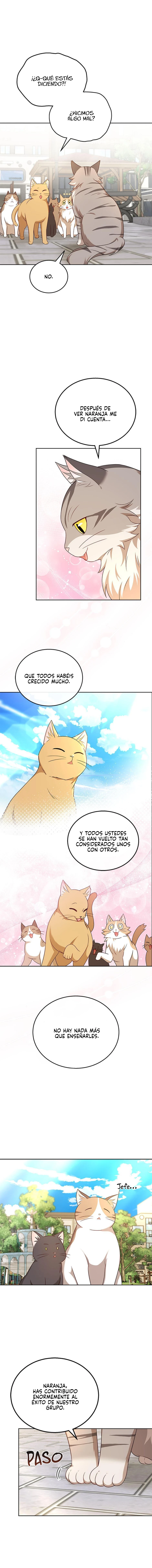 Veterinario Hola Capitulo 21 página 13