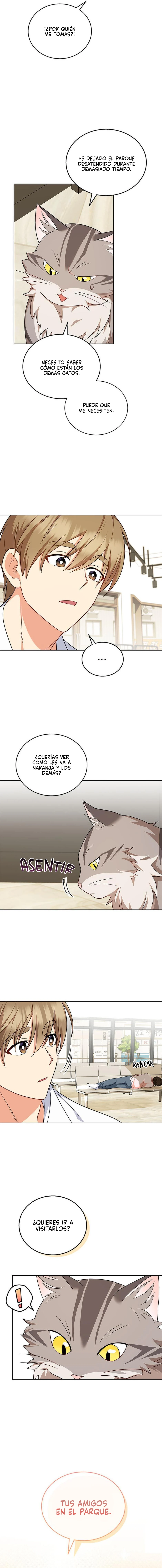 Veterinario Hola Capitulo 21 página 5