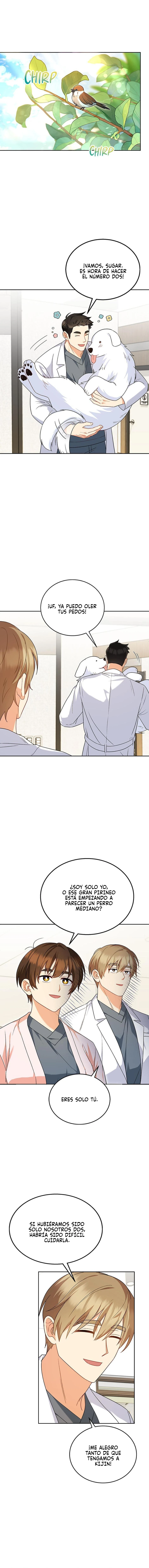 Veterinario Hola Capitulo 23 página 13