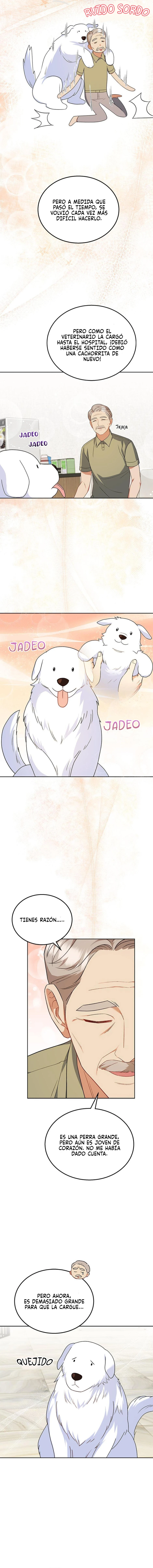 Veterinario Hola Capitulo 23 página 17