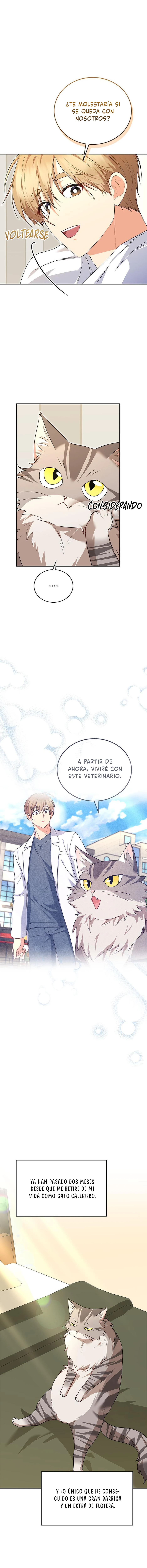 Veterinario Hola Capitulo 30 página 4