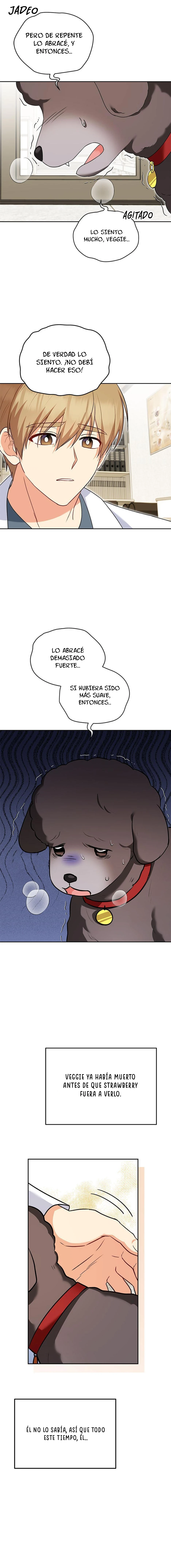 Veterinario Hola Capitulo 34 página 8