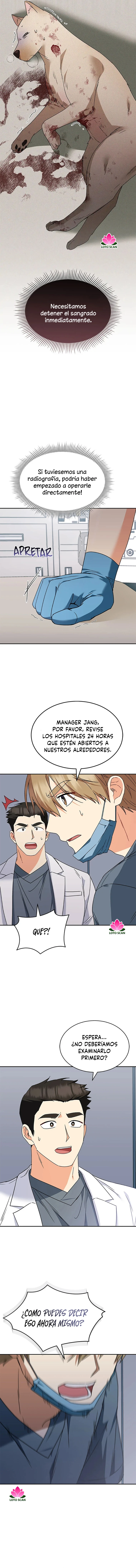 Veterinario Hola Capitulo 46 página 13
