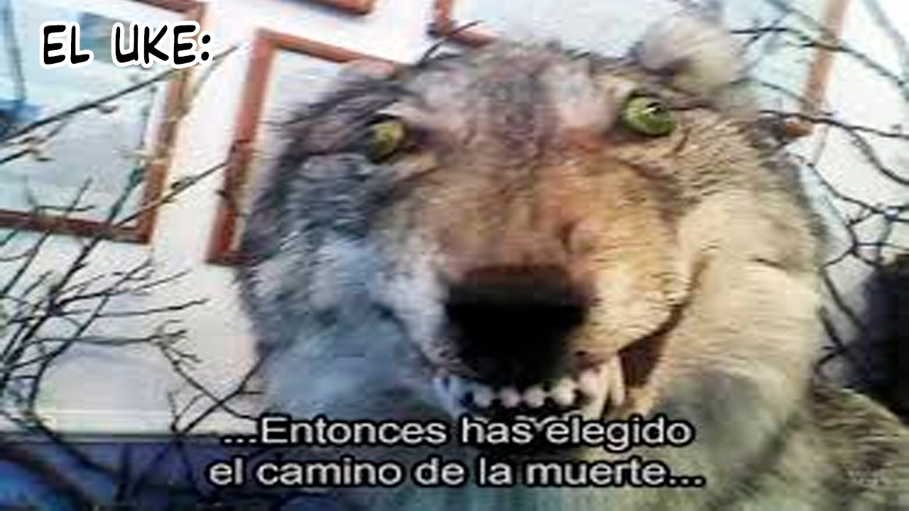 Reencarné en el Gran  Ganso Dorado del alfa dominante Capitulo 17 página 52