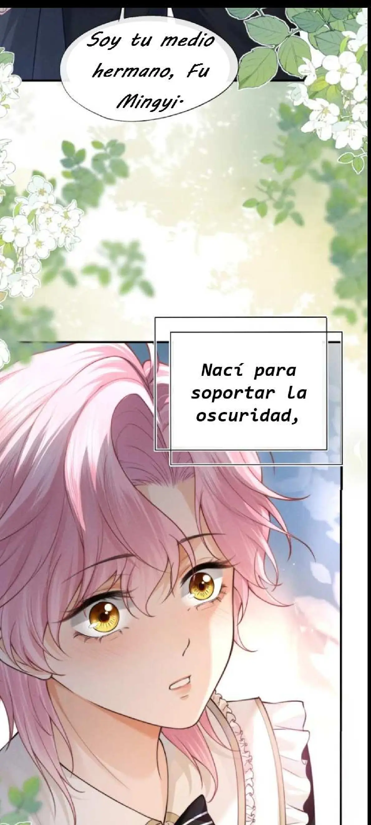 Después de Ser Atrapado por mi Hermano Enfermizo - FxS Capitulo 0 página 5