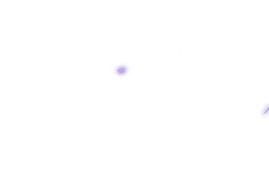 Selena Capitulo 52 página 229